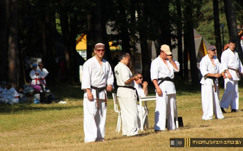 Республиканские сборы по Киокушинкай каратэ 04.07.2015 г. (часть 1) image 15