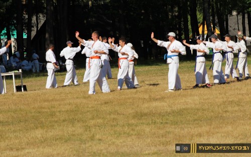 Республиканские сборы по Киокушинкай каратэ 04.07.2015 г. (часть 1) image 18