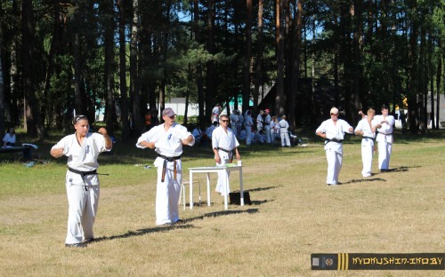 Республиканские сборы по Киокушинкай каратэ 04.07.2015 г. (часть 1) image 25