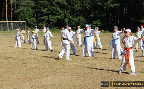 Республиканские сборы по Киокушинкай каратэ 04.07.2015 г. (часть 1) image 30