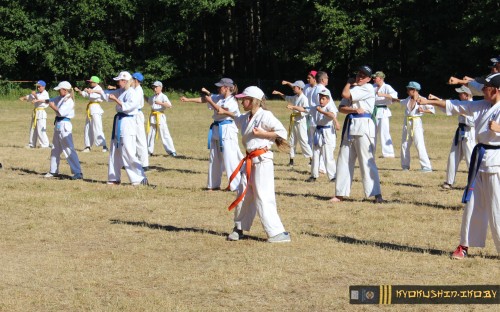 Республиканские сборы по Киокушинкай каратэ 04.07.2015 г. (часть 1) image 31