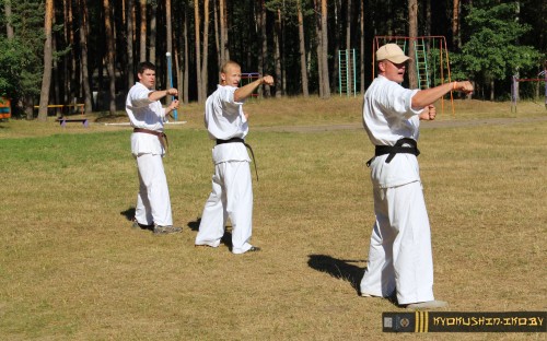 Республиканские сборы по Киокушинкай каратэ 04.07.2015 г. (часть 1) image 32
