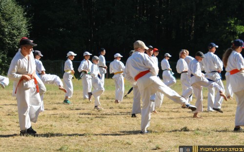 Республиканские сборы по Киокушинкай каратэ 04.07.2015 г. (часть 1) image 36