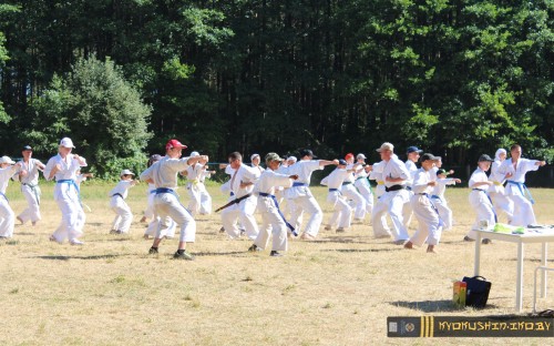 Республиканские сборы по Киокушинкай каратэ 04.07.2015 г. (часть 1) image 43