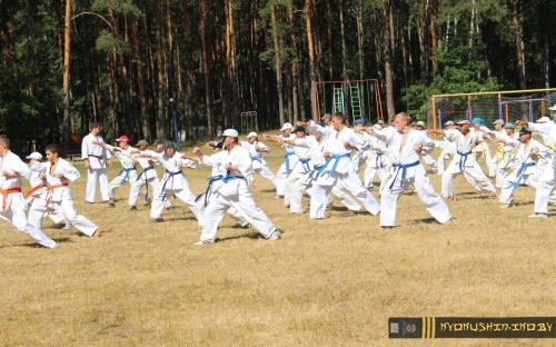 Республиканские сборы по Киокушинкай каратэ 04.07.2015 г. (часть 1) image 50