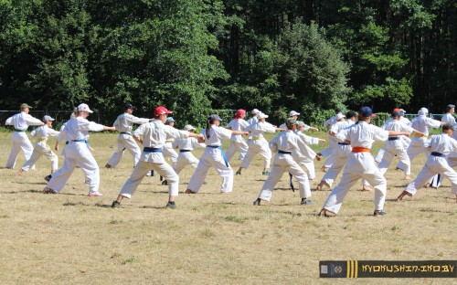 Республиканские сборы по Киокушинкай каратэ 04.07.2015 г. (часть 1) image 53