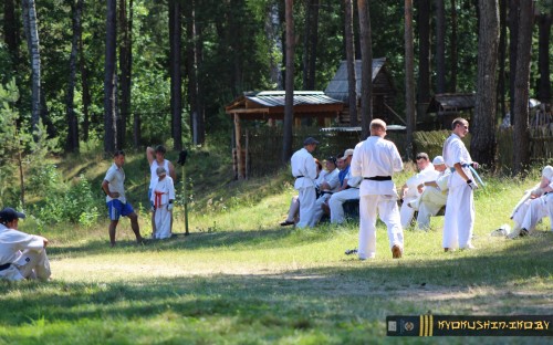 Республиканские сборы по Киокушинкай каратэ 04.07.2015 г. (часть 1) image 94