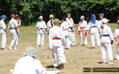 Республиканские сборы по Киокушинкай каратэ 04.07.2015 г. (часть 1) image 103