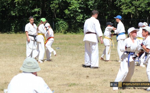 Республиканские сборы по Киокушинкай каратэ 04.07.2015 г. (часть 1) image 115