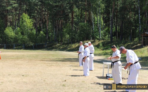 Республиканские сборы по Киокушинкай каратэ 04.07.2015 г. (часть 1) image 148