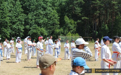 Республиканские сборы по Киокушинкай каратэ 04.07.2015 г. (часть 1) image 149