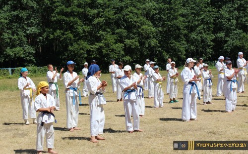 Республиканские сборы по Киокушинкай каратэ 04.07.2015 г. (часть 1) image 151
